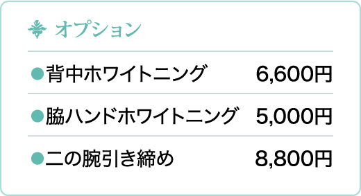 オプション価格表